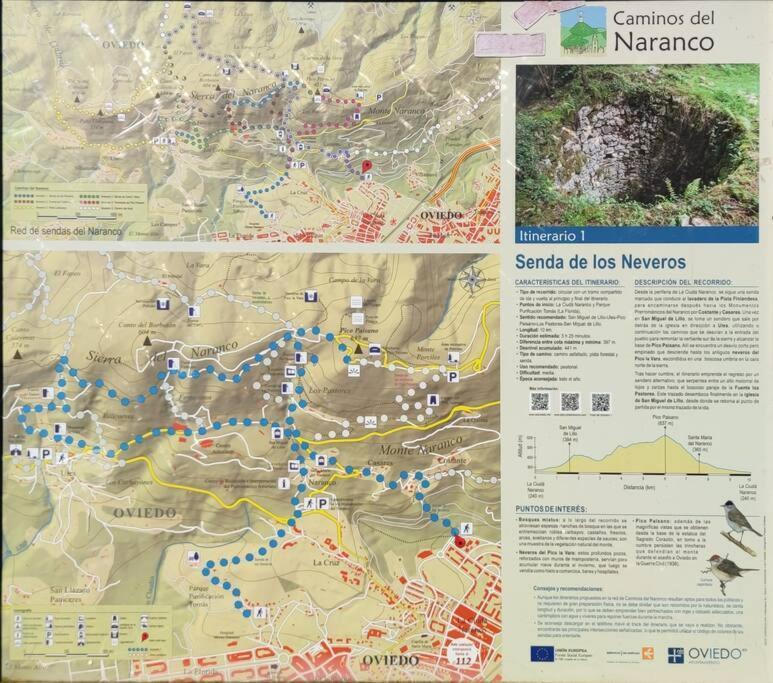 شقة Atico Mirador Del Naranco, Parking Gratuito, Wifi, Zona Residencial اوفيدو المظهر الخارجي الصورة